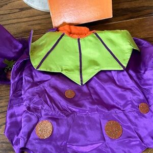 Department 56 Halloween dog costume